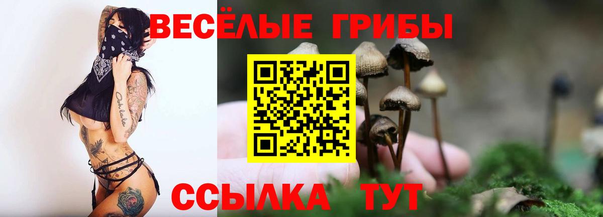 купить наркоту  Галлюциногенные грибы ЛСД  Кстово  Вход с VPN  Галлюциногенные грибы мухоморы 